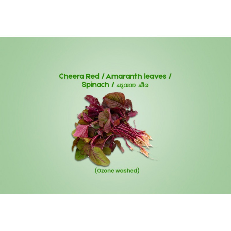 Cheera Red / Amaranth leaves / Spinach / ചുവന്ന ചീര - 200.00 gm ( Ozone Washed)